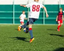 无论能否成,他都要一试,身手,必赢官方网站入口,必赢bwin官方网站,bwin必赢官方网站,必赢·BWIN唯一官方网址