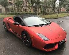 Ford,广州车展,释放本性,必赢官方网站入口,必赢bwin官方网站,bwin必赢官方网站,必赢·BWIN唯一官方网址