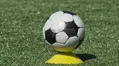 必赢·BWIN唯一官方网址 资讯 111314 2qn