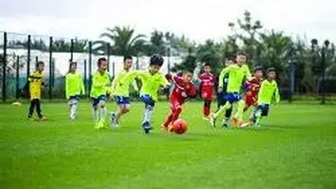 必赢·BWIN唯一官方网址 资讯 111749 62y